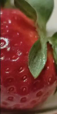 1748025370486.webp