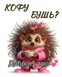 1000122941.webp