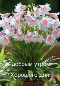 IMG_2682.webp