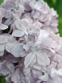 20250524114108.webp