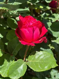 imgonline-com-ua-Resize-fWZK2TOzHrwM.webp