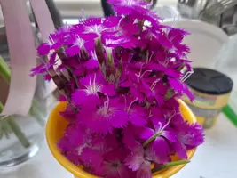 1000003294.webp