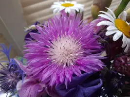 1000003296.webp
