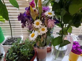 1000003298.webp