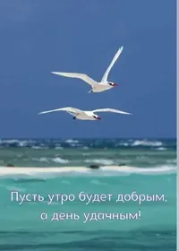 imgonline-com-ua-Resize-CRjezmpWopQiFJ.webp