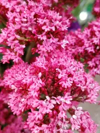 imgonline-com-ua-Resize-WVyi49JyZ8.webp