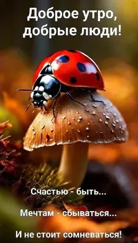 08dbcec20b1a9388fe2cc71727ab5932.webp