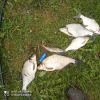 IMG_20250525_135225.webp