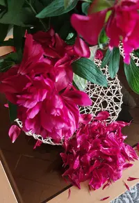 20250525_104327.webp