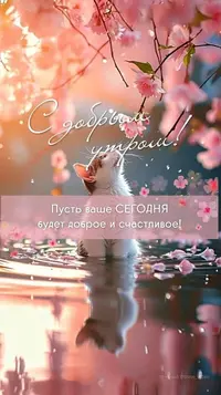 0427_171506_694.webp