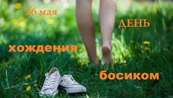 5082283.webp