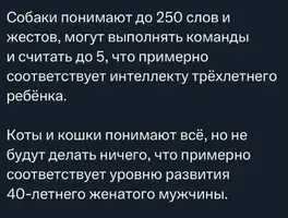 IMG-20250527-WA0011.webp