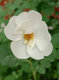 20250530100849.webp
