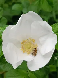 20250530100940.webp