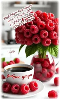 5a289c276ac3361033ed768ac5b02829.webp