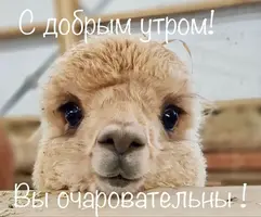 b2e787ad5fc725496f97f8b028e98988.webp