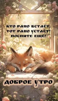 428_180107_354.webp