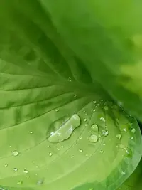 20250601125720.webp