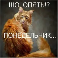 015398eddc979aa7474fa6f0d24d9142.webp
