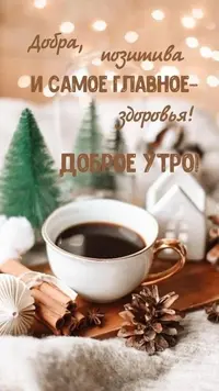 cocaOC7_tCw.webp