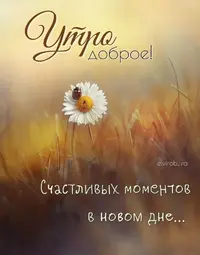 6cc22f7d7d03954dc57c402b22100be5.webp