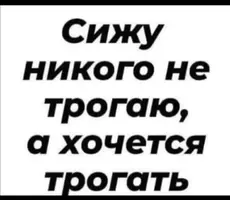 1000124289.webp