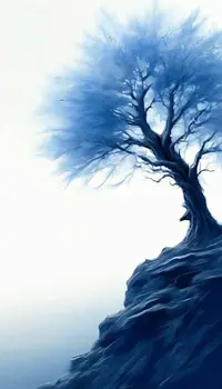 010429 Аппликация их перьев.webp