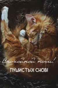 413_110645_358.webp
