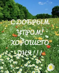 IMG_2931.webp