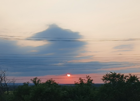 Screenshot_20250604-115958.webp