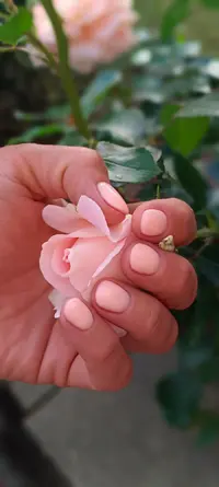 IMG_20250604_201734.webp