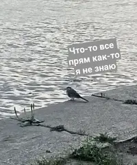 b8a7d5525b5914e288826f9c7b827d18.webp