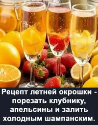 1000124601.webp