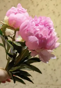 1749242817648.webp