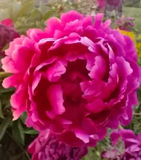 IMG_20250606_204522.webp