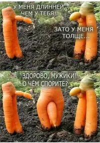 kndciirn_lg.webp