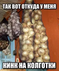 1000022695.webp