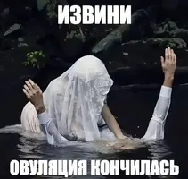 1000022698.webp