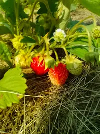 IMG20250607160923.webp