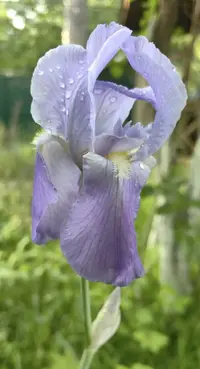 1749318539002.webp