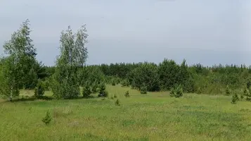 20250608212807.webp