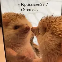 f5bb1d8d13919feec9edc512a60f9316.webp