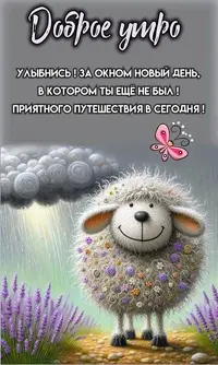 50508_050936_583.webp