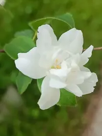 IMG20250612102841.webp