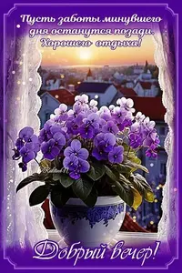 523_150338_294.webp