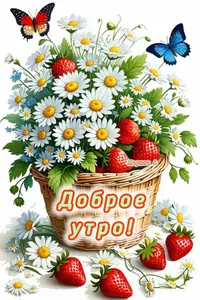 BoN6M4U3uuTNIcvZpWI7KjWOiMBaIw11rrI96eu5eEn33-N_xXYR4rd4BYg8jnqeVcL31qFpkbidqU5dAxu6S80T.webp