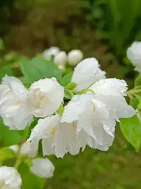 20250614104356.webp