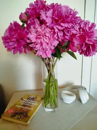 IMG_20250616_114354.webp