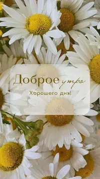 cc443e75a9228e7bc28cfe9af6ea4fff.webp