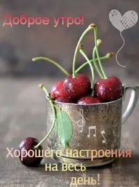 IMG_3318.webp